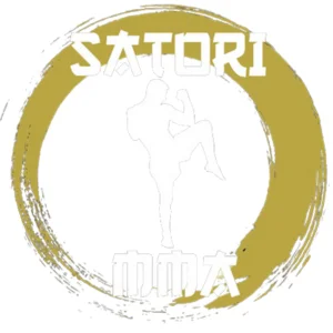 Flow State Fight Academy academy logo