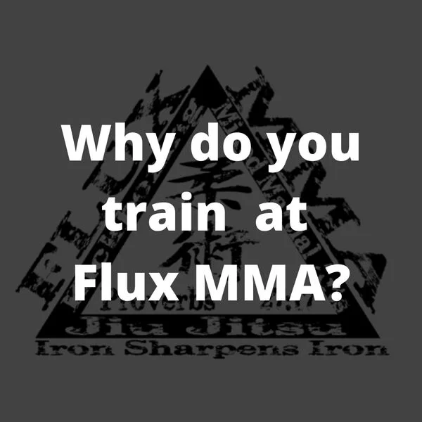 Flux MMA academy logo