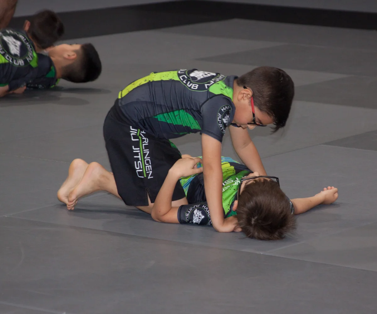 Harlingen Jiu Jitsu Club facility image