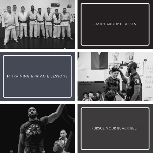 Haven Jiu-Jitsu Academy facility image