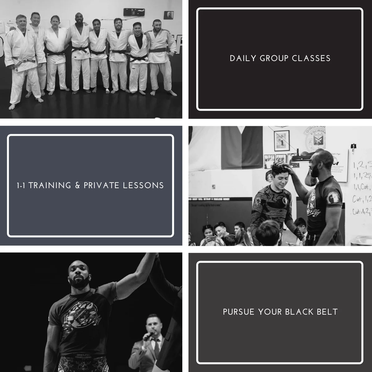 Haven Jiu-Jitsu Academy facility image