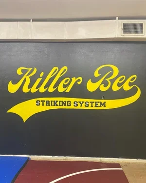 Killer Bee Brazilian Jiu Jitsu facility image