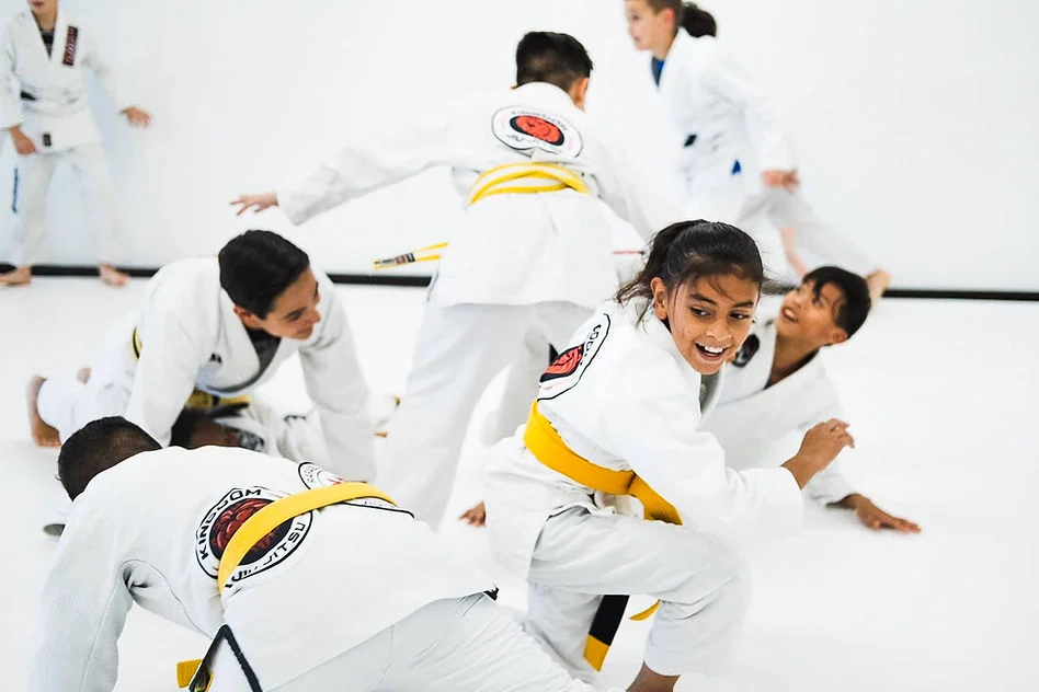 Lessons.com (BJJ / Martial Arts class provider listing in Garland, TX) academy logo