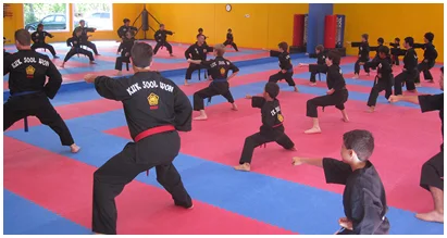 Kuk Sool Won of The Woodlands facility image