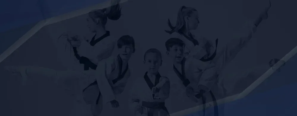 Mushin Jiu Jitsu Academy academy logo