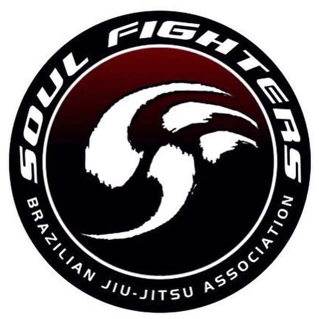 Palmer BJJ academy logo