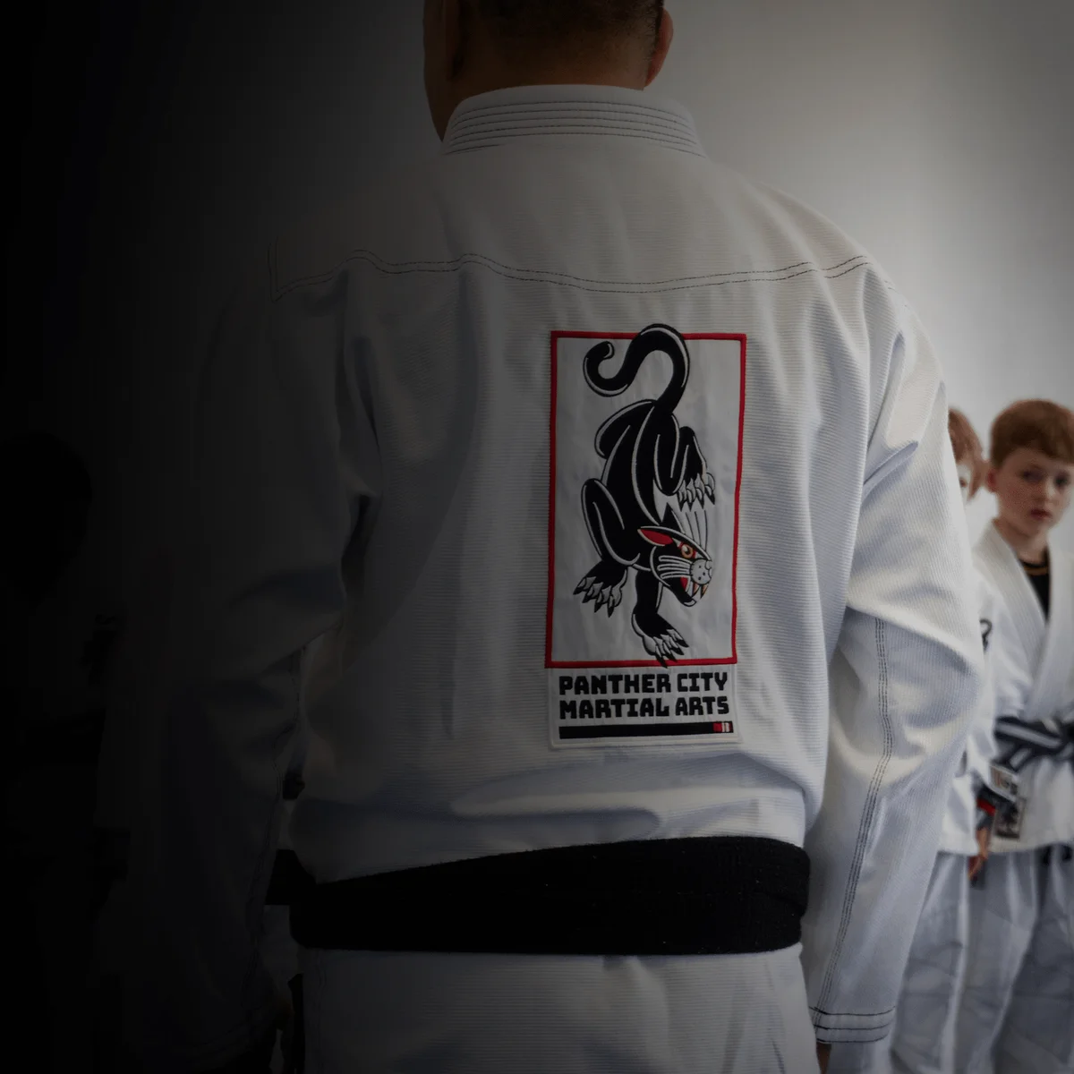 Panther City Martial Arts academy logo