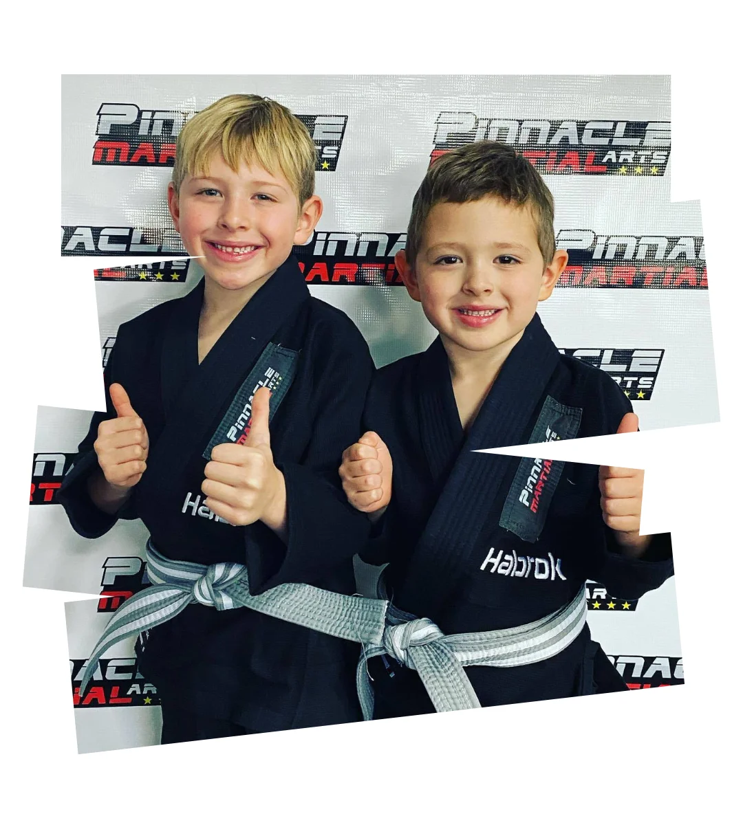 Pinnacle Martial Arts Brazilian Jiu Jitsu & MMA San Antonio facility image