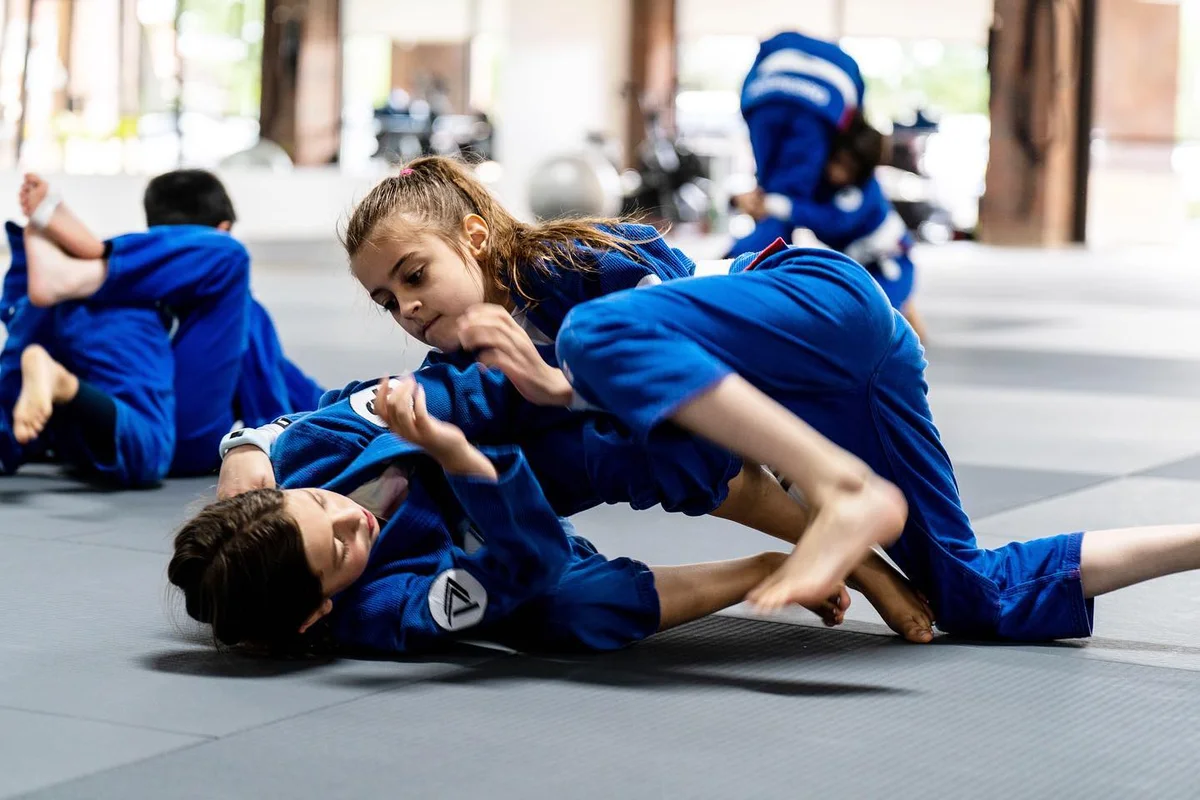 Progresso Jiu Jitsu Richardson facility image