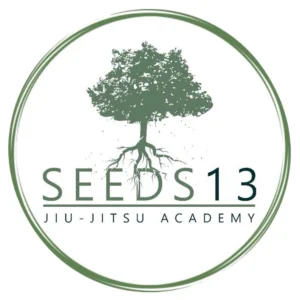 Reyes Jiu-Jitsu Academy (Gym) academy logo