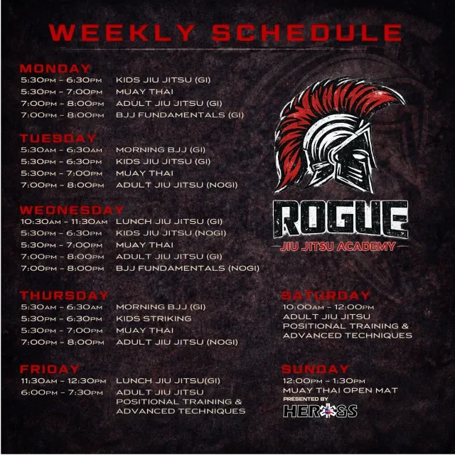 ROGUE Jiu Jitsu facility image