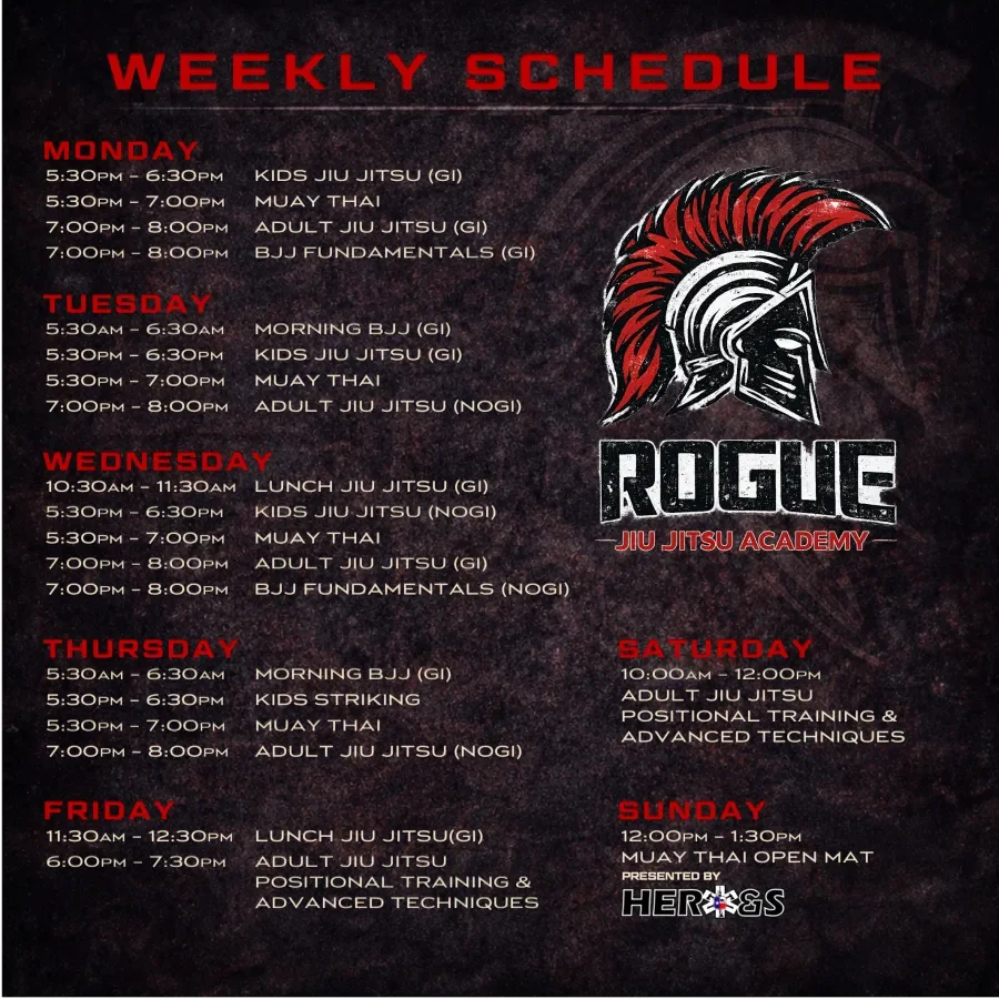 ROGUE Jiu Jitsu facility image