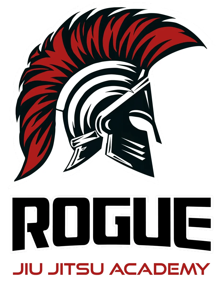 ROGUE Jiu Jitsu facility image