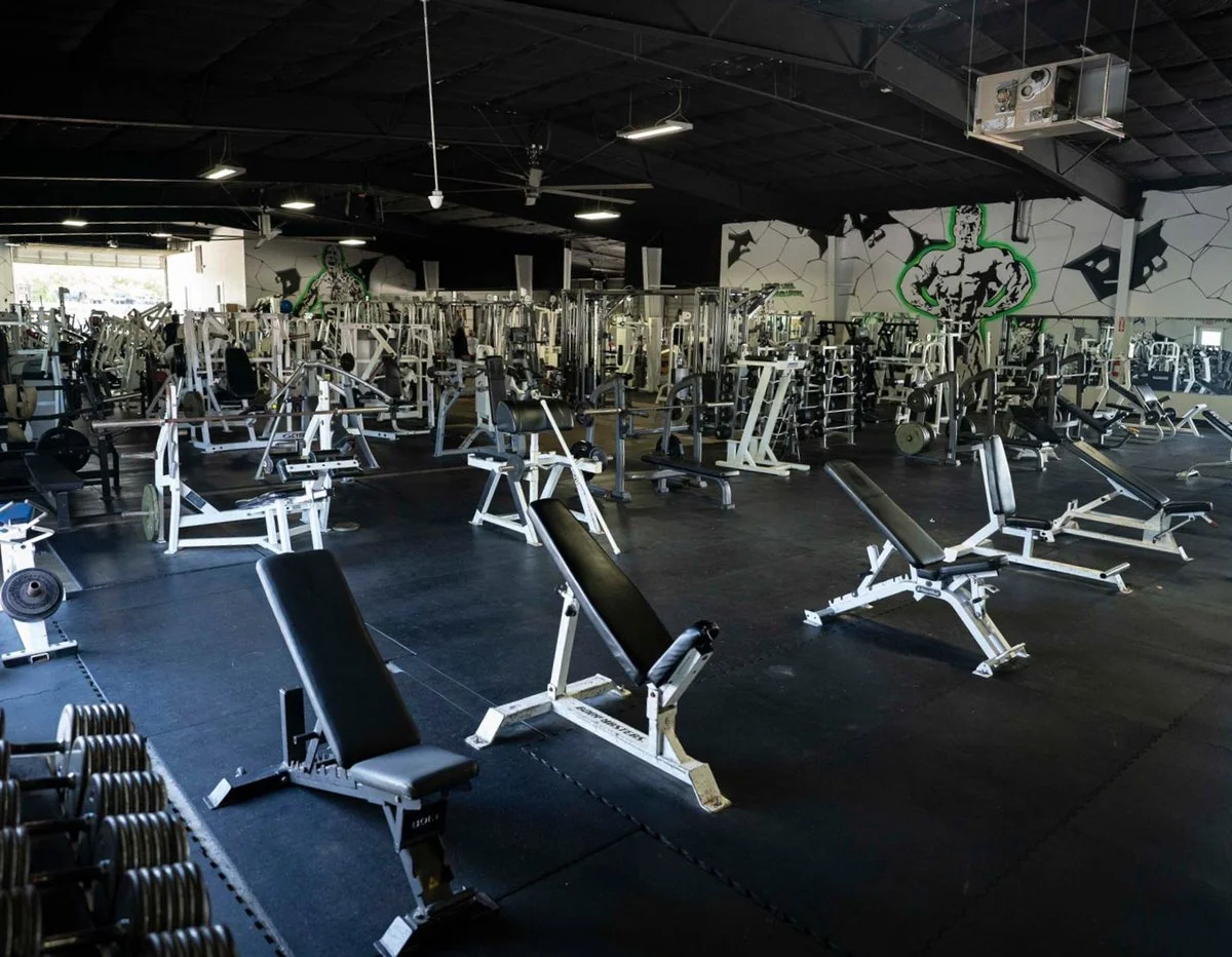Species Gym facility image
