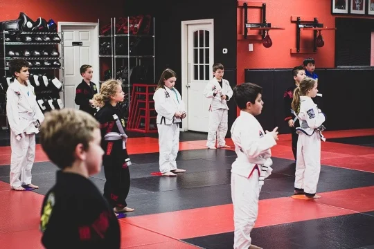Team Rabadi Brazilian Jiu-Jitsu & Muay Thai facility image