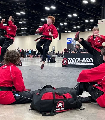 Tiger-Rock Martial Art International facility image