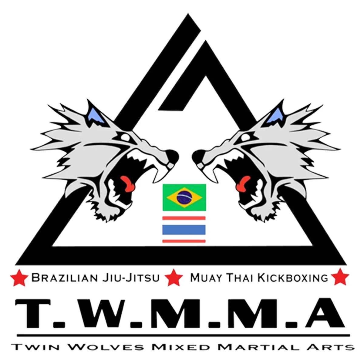 Twin Wolves Martial Arts Academy academy logo