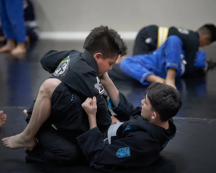 Twin Wolves Martial Arts Academy facility image