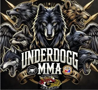 Underdog MMA facility image