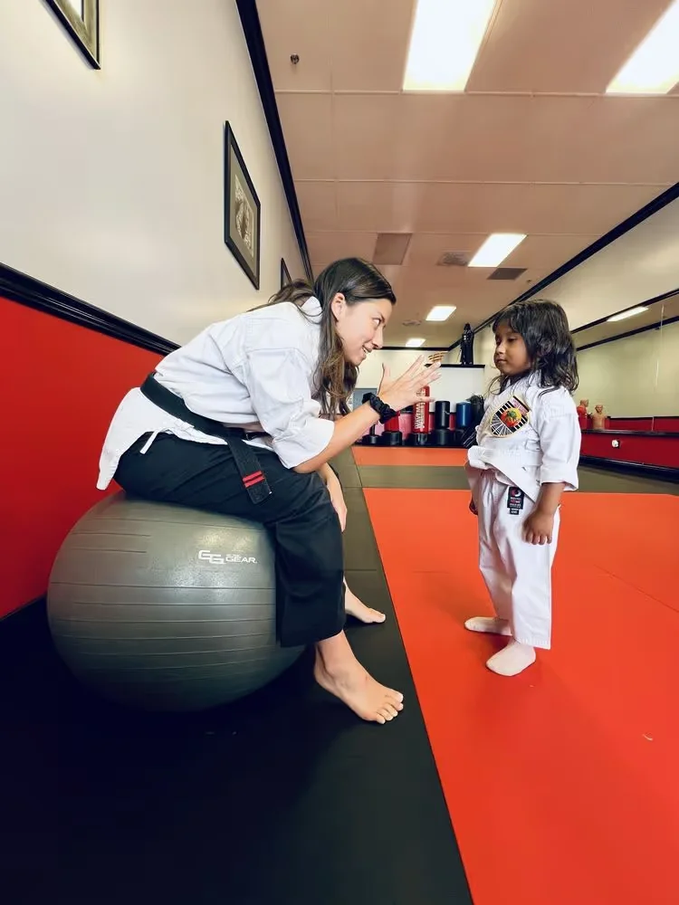 United Studios of Self Defense (USSD) facility image