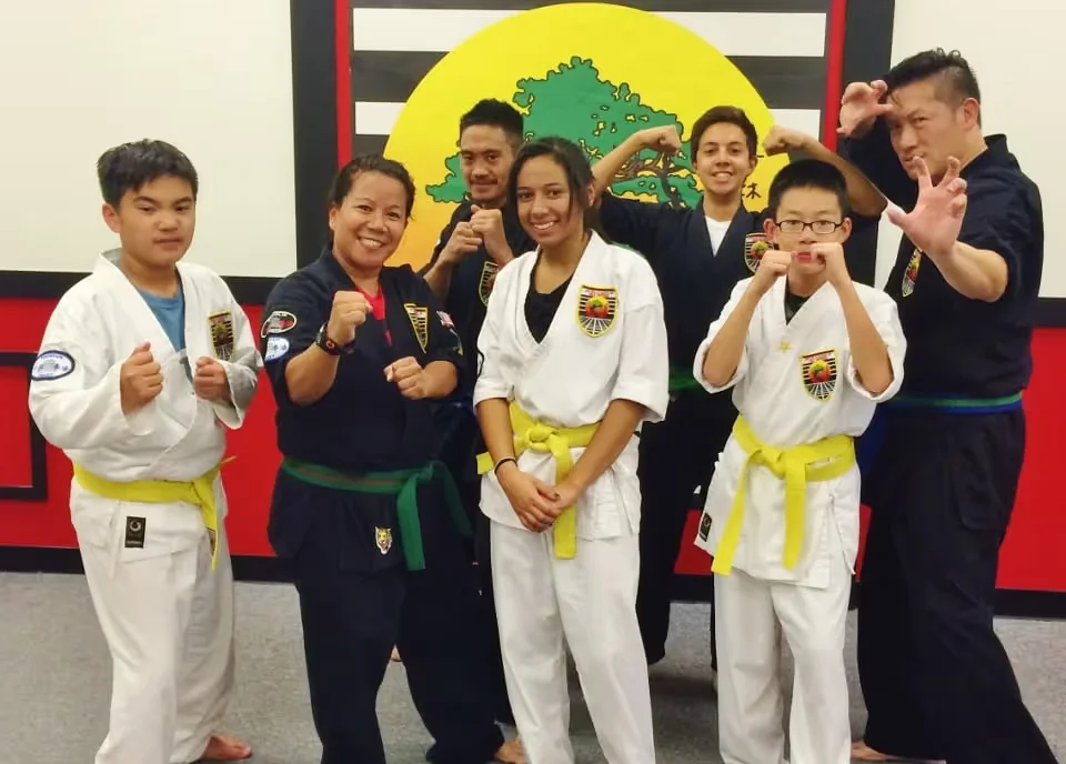 United Studios of Self Defense (USSD) facility image