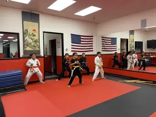 United Studios of Self Defense (USSD) facility image