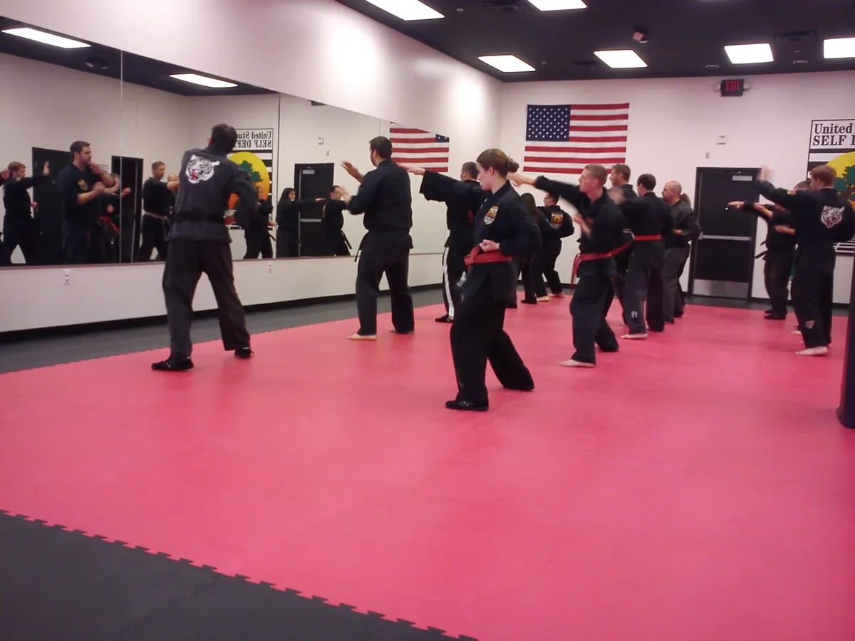 United Studios of Self Defense (USSD) facility image