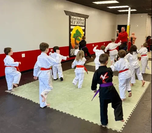 United Studios of Self Defense (USSD) facility image