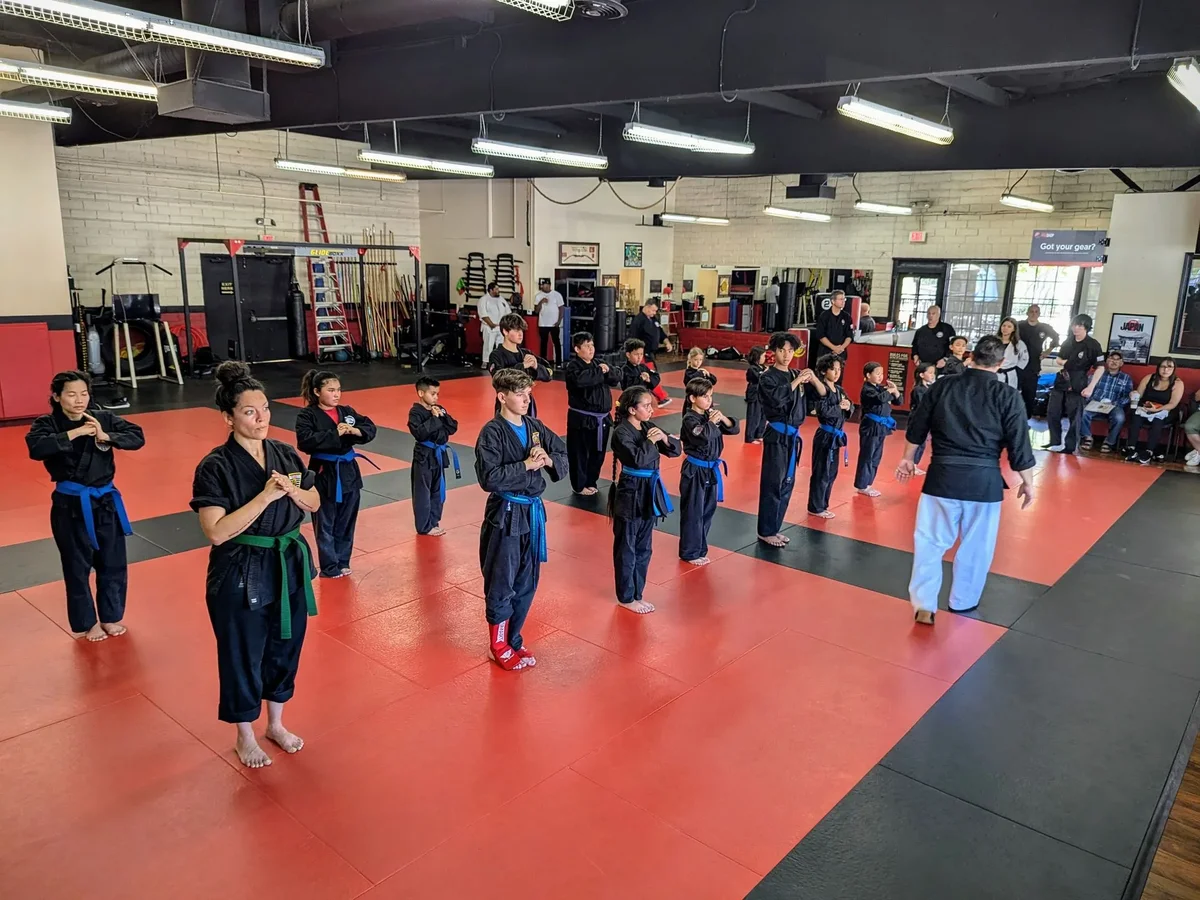 United Studios of Self Defense (USSD) facility image