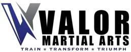 VALOR Martial Arts Georgetown facility image