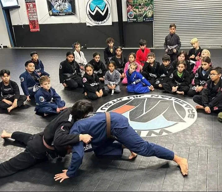 Wise JiuJitsu LLC facility image