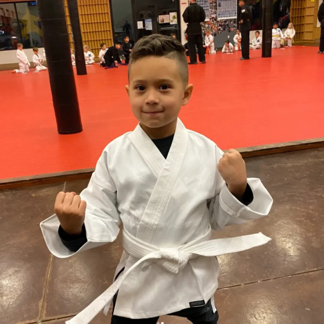 Academy of Elite Martial Arts facility image