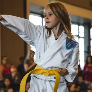 Academy of Elite Martial Arts facility image