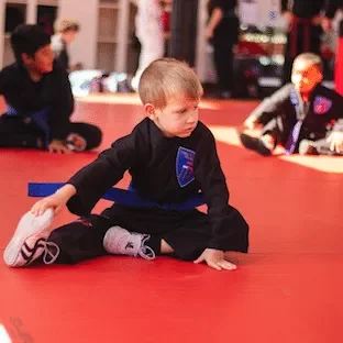 Academy of Elite Martial Arts facility image