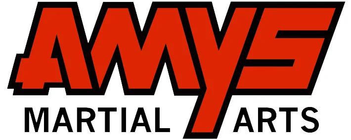 AMYS Martial Arts facility image