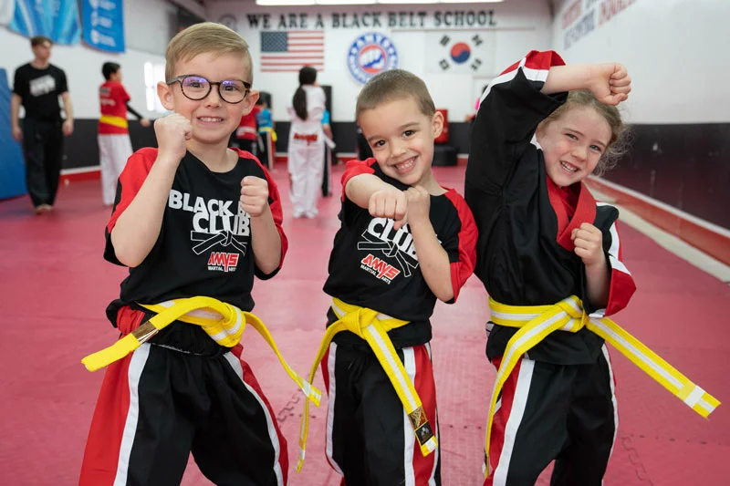 AMYS Martial Arts facility image
