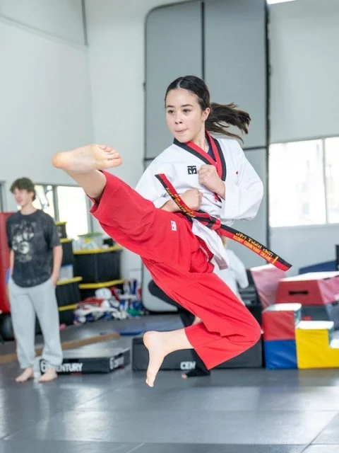 AMYS Martial Arts facility image