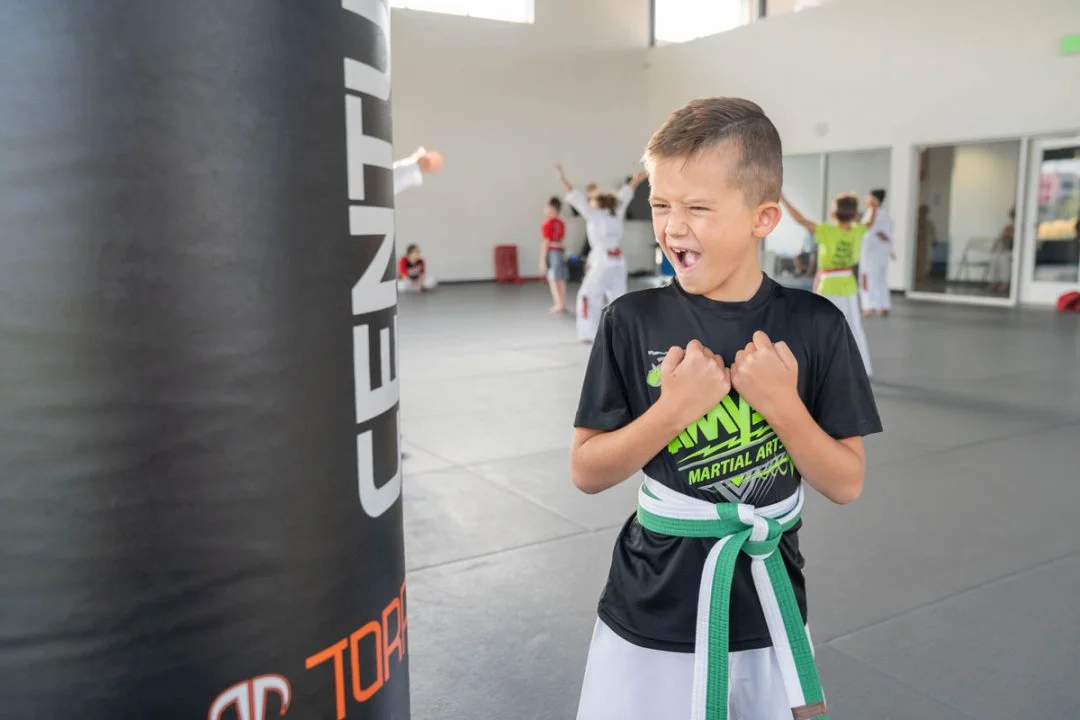 AMYS Martial Arts facility image