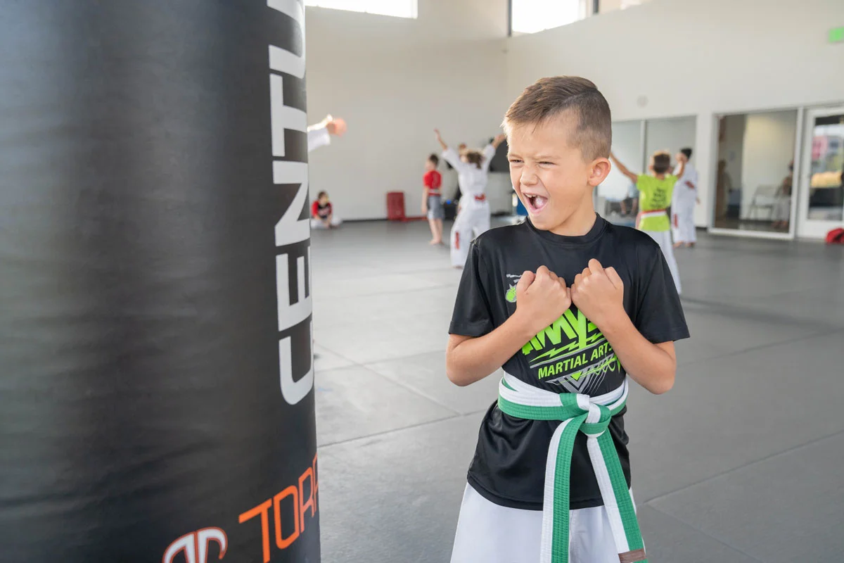AMYS Martial Arts facility image