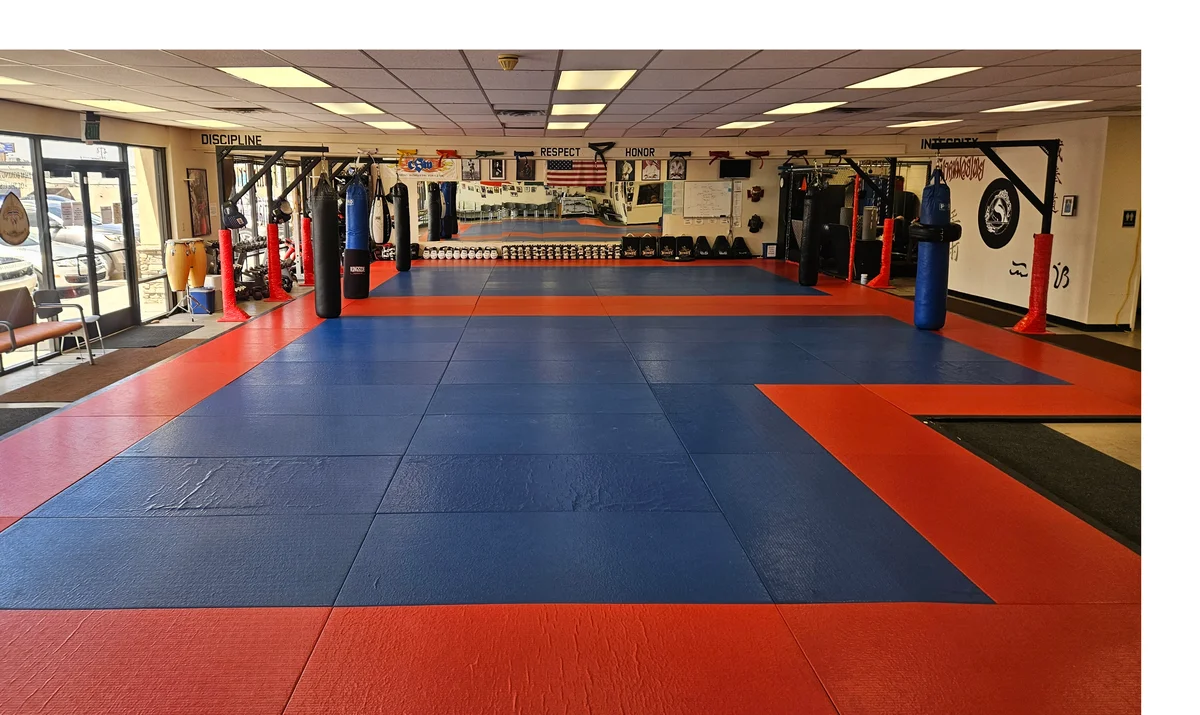 Bernales Institute of Martial Arts facility image