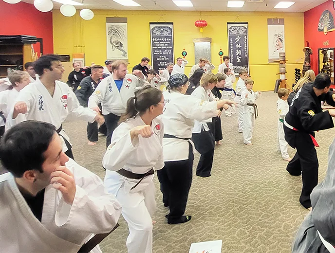 Chinese Shaolin Center facility image