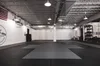 Combat Arts Strength & Conditioning facility image