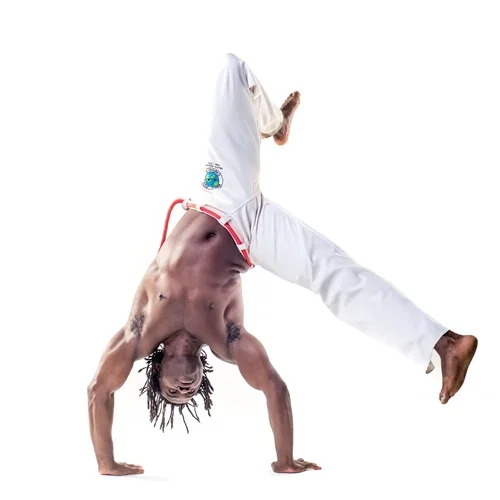 salt lake Capoeira facility image