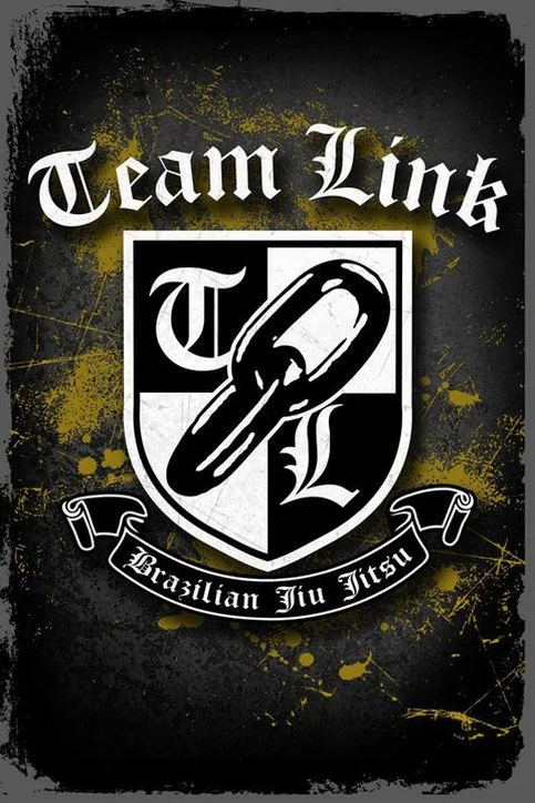 The Brazilian Jiu Jitsu Institute / Link Brazilian Jiu Jitsu academy logo