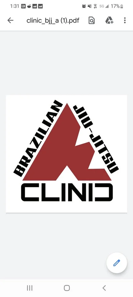 The Clinic Brazilian Jiu-Jitsu facility image