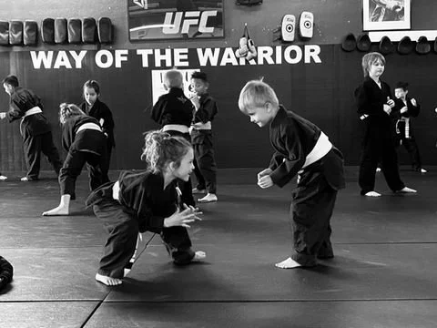 THE DOJO academy logo