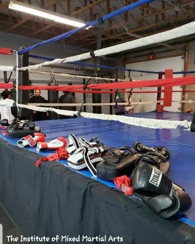 The Institute of Mixed Martial Arts facility image