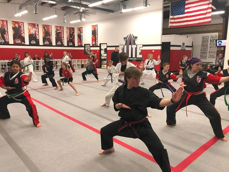 Tobin Family Karate facility image