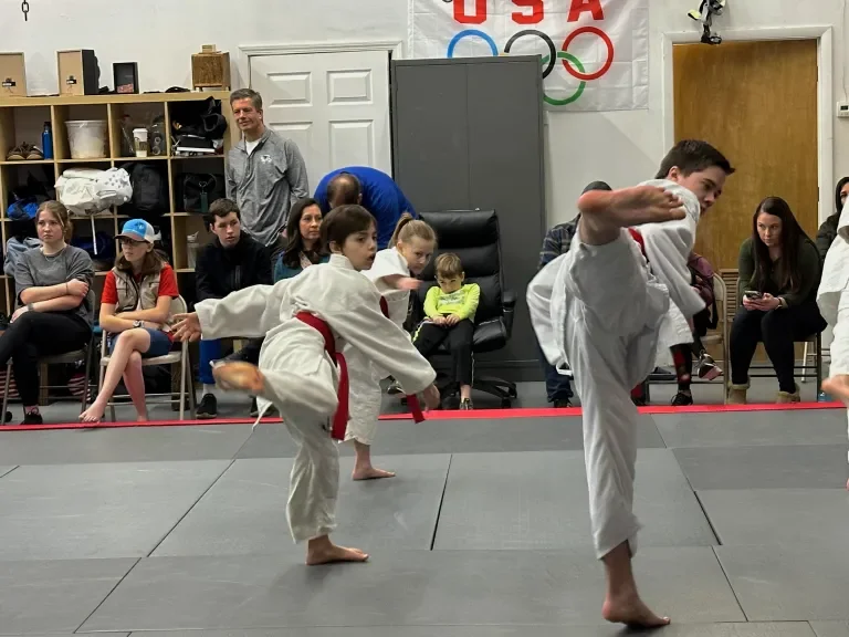 Jiu-Jitsu Logan, Utah (Top Defense & Fitness Gym / TDF Gym) facility image