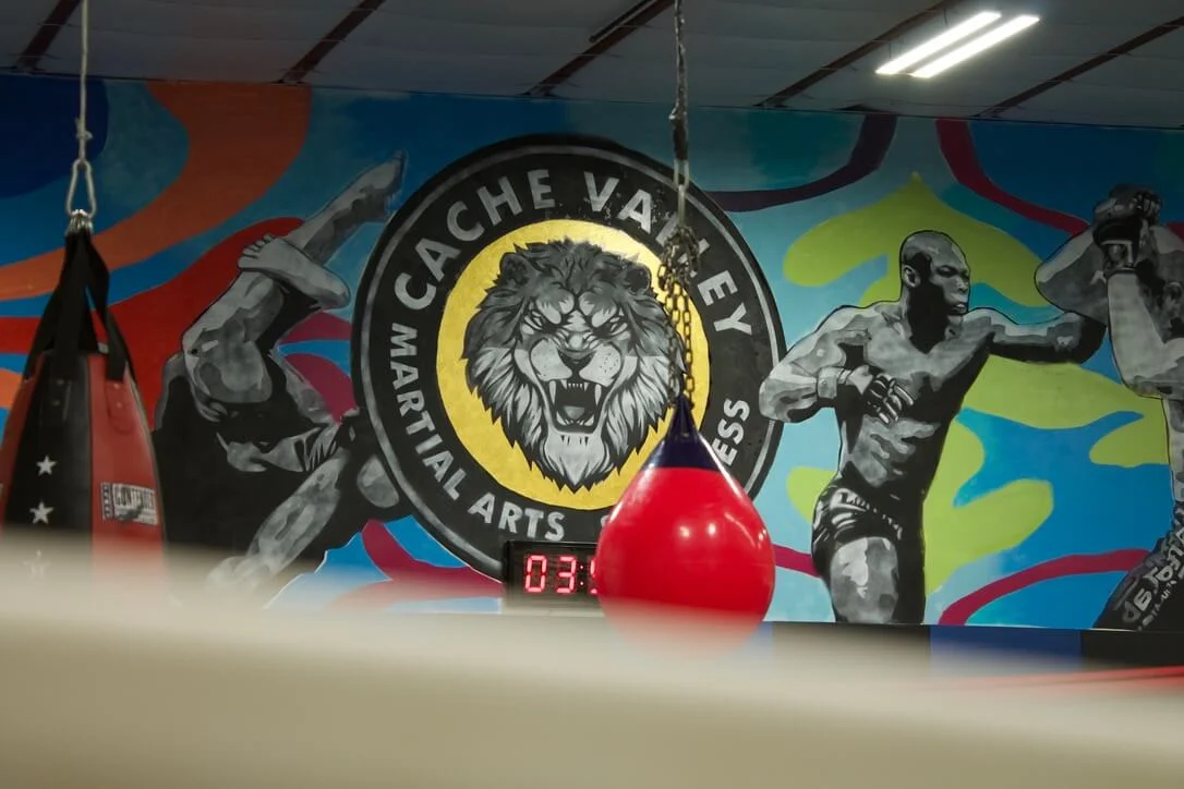 Jiu-Jitsu Logan, Utah (Top Defense & Fitness Gym / TDF Gym) facility image